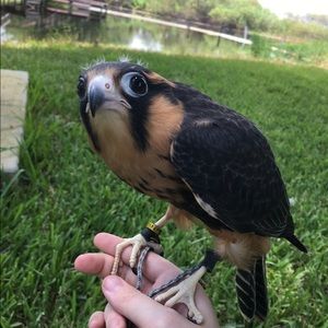 Meet your Posher, Graeme